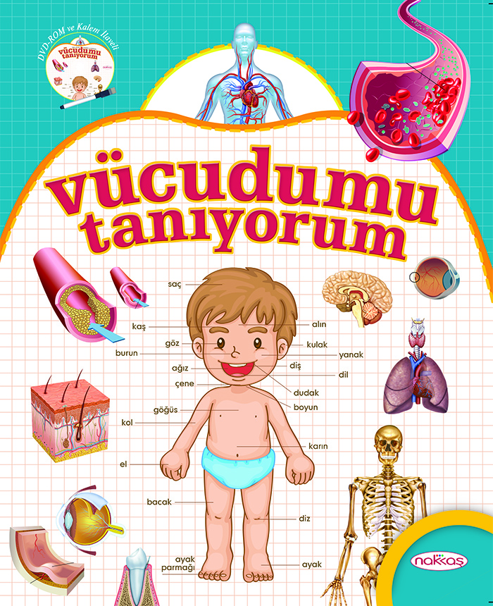 Vücudumu Tanıyorum (Kalem & DVD) Hediyeli