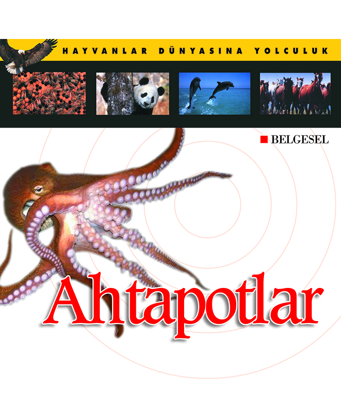 Ahtapotlar