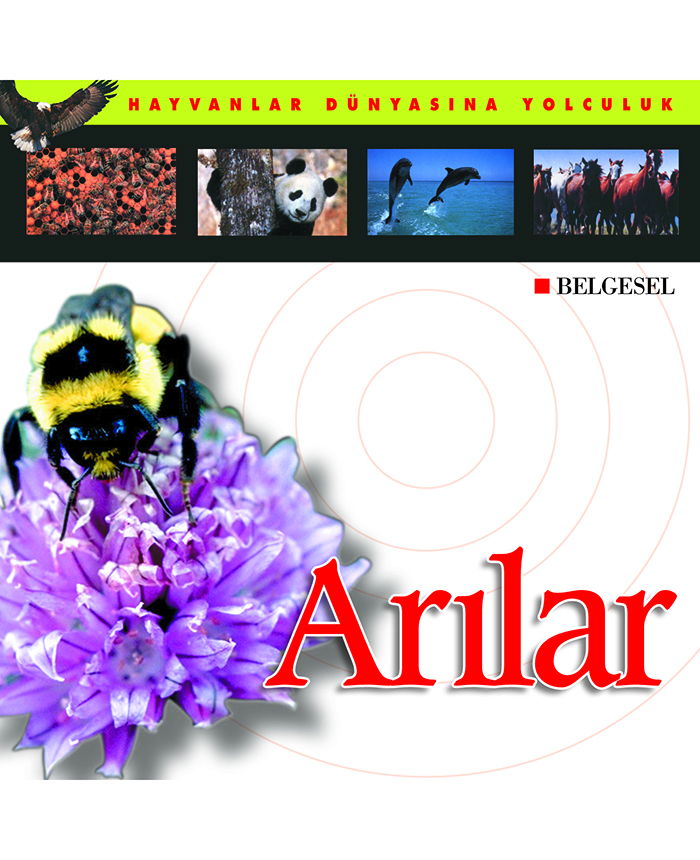 Arılar