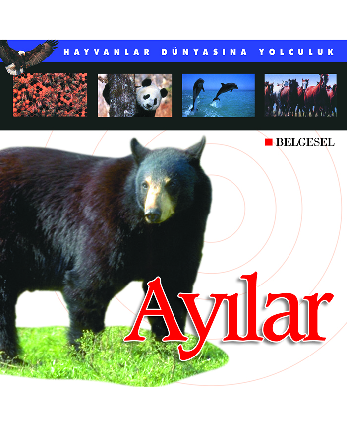 Ayılar