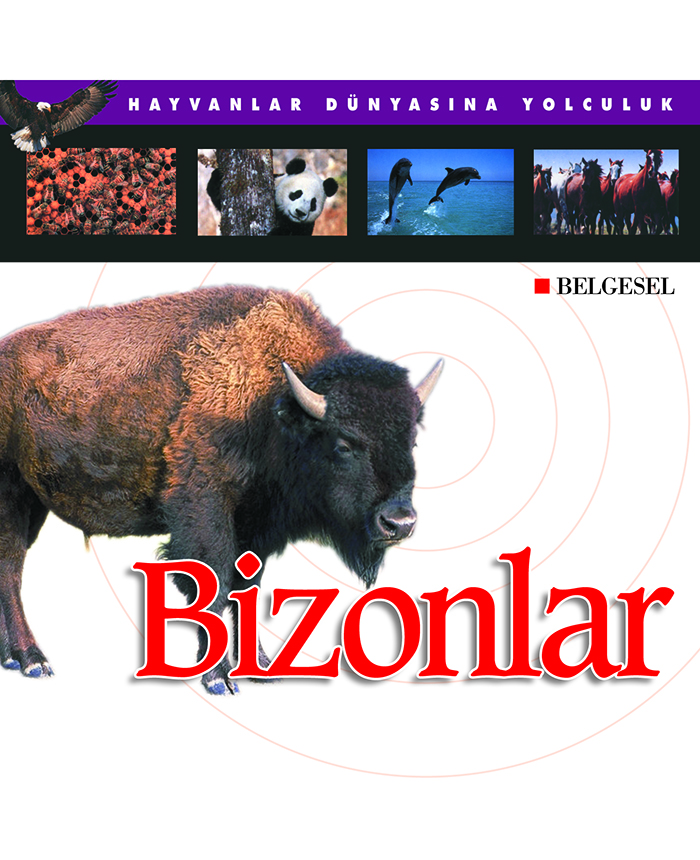 Bizonlar