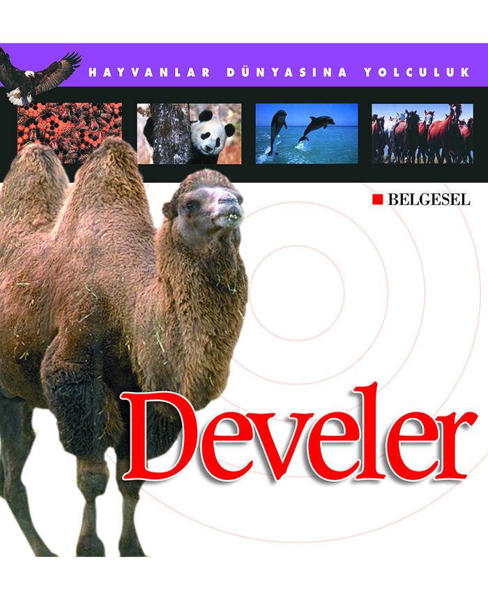 Develer