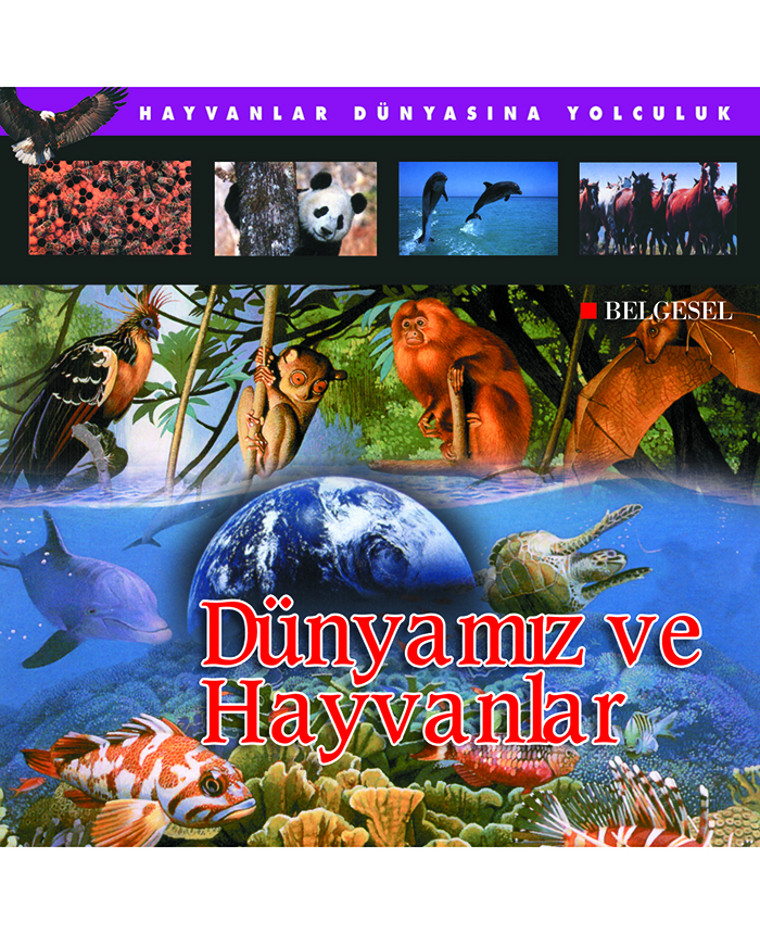 Dünyamız ve Hayvanlar