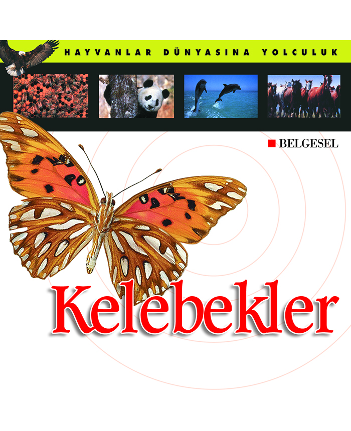 Kelebekler
