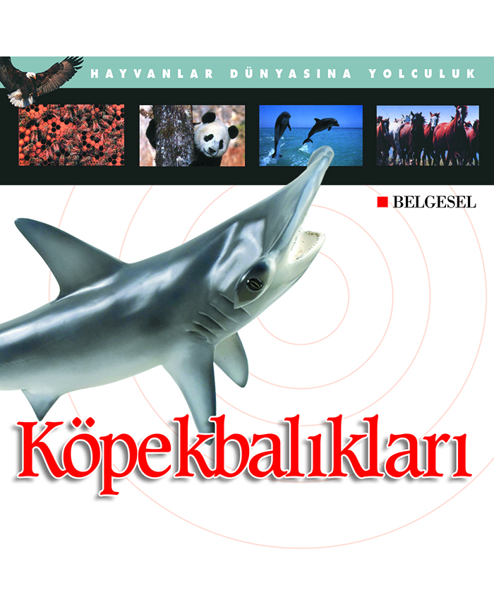 Köpekbalıkları
