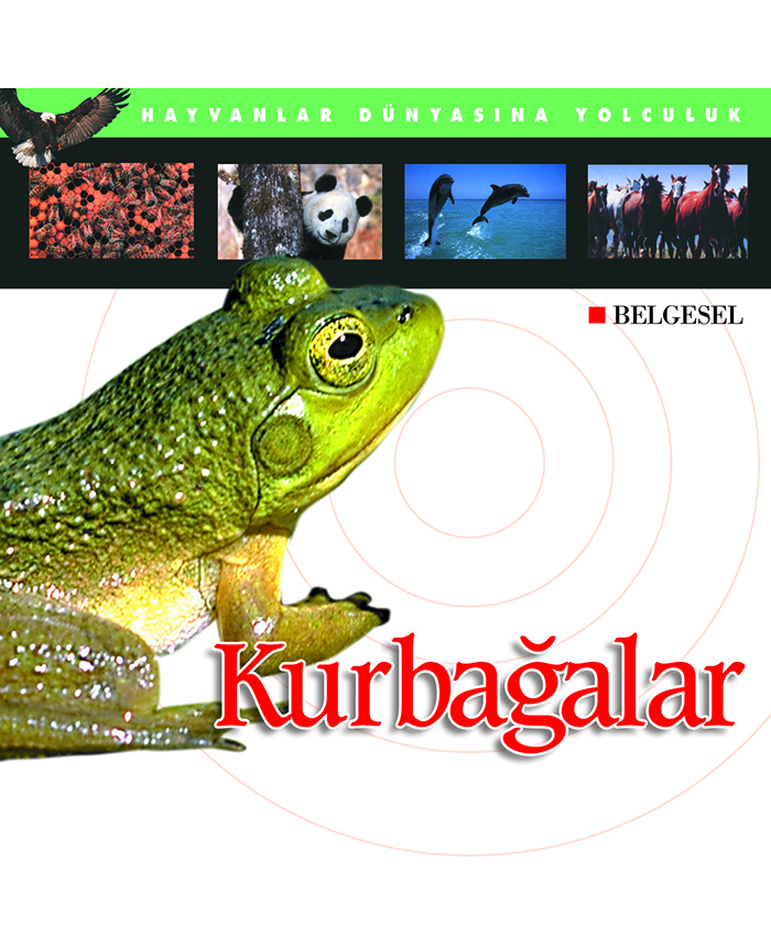 Kurbağalar