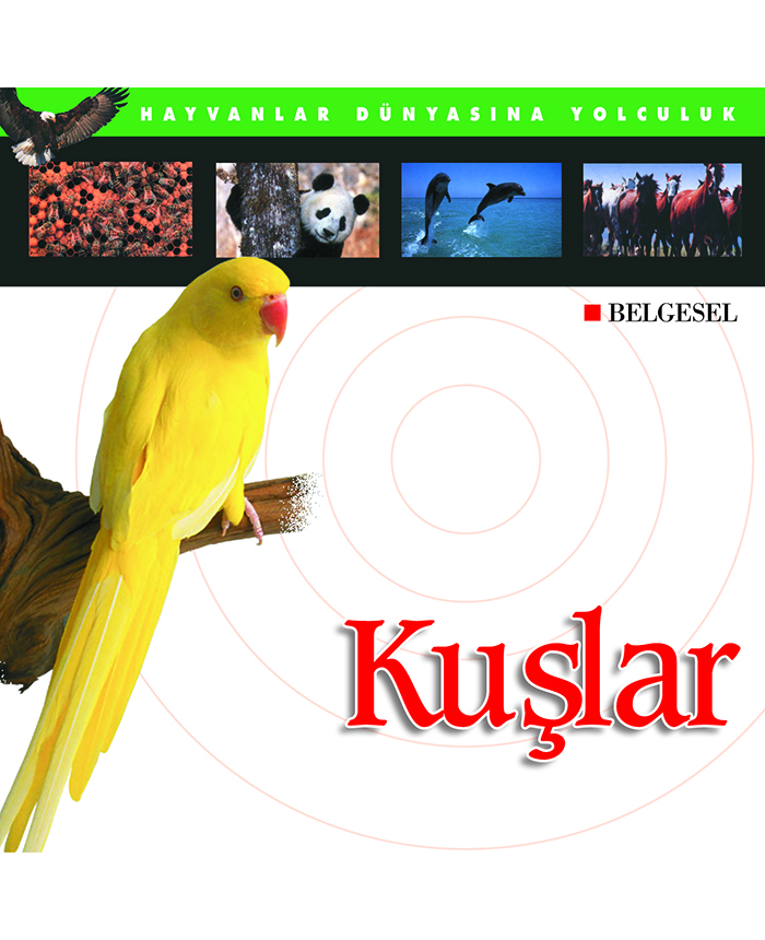 Kuşlar