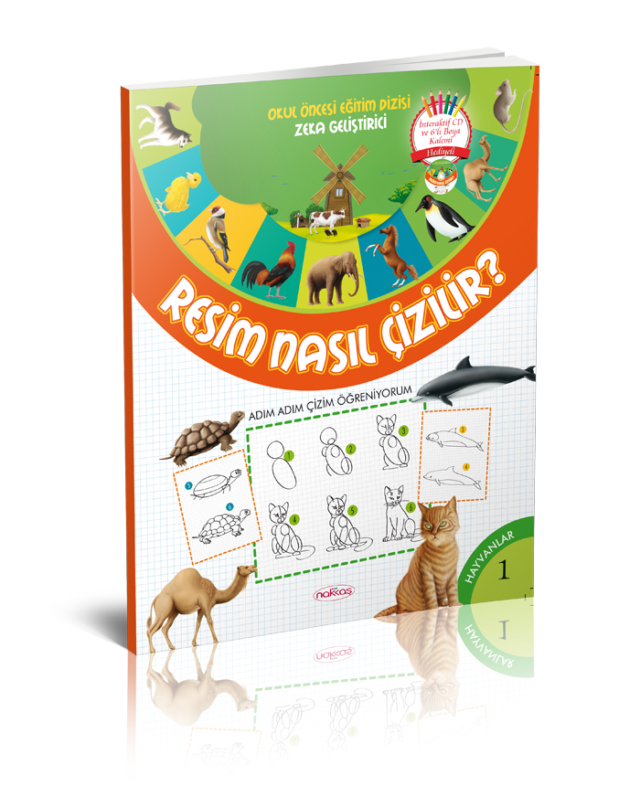 Resim Nasıl Çilir?