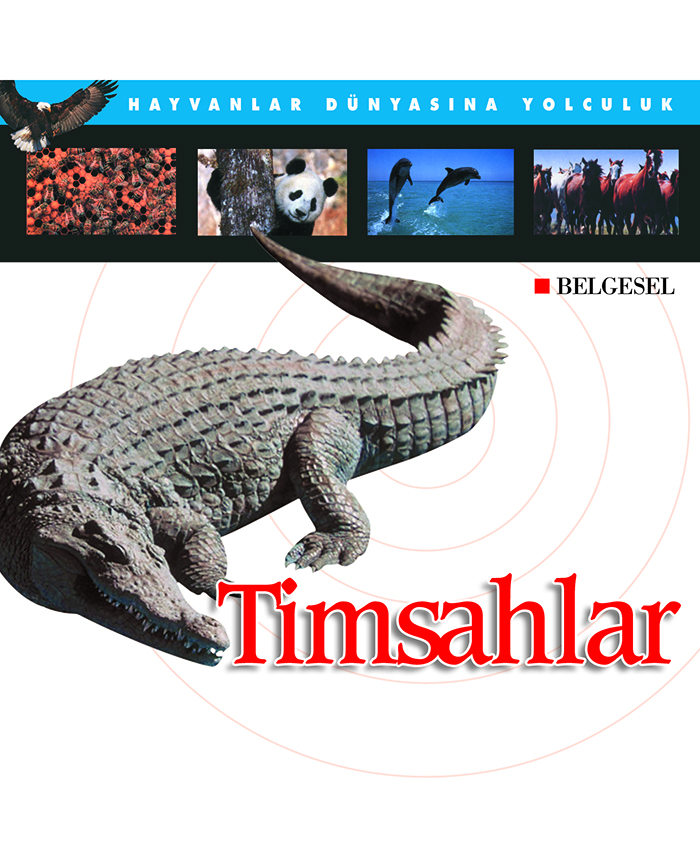 Timsahlar