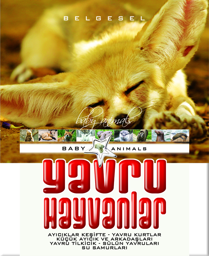 Yavru Hayvanlar
